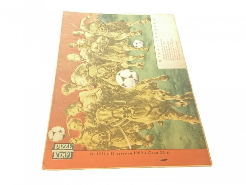 PRZEKRÓJ NR 1931 13 CZERWCA 1982