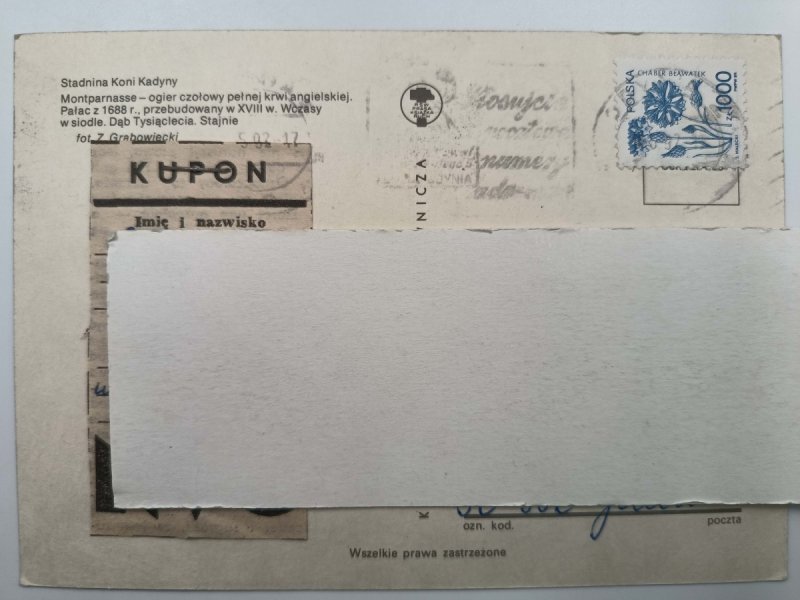 STADNINA KONI KADYNY