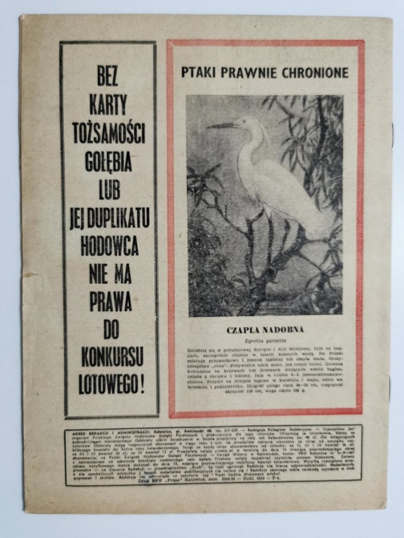HODOWCA GOŁĘBI POCZTOWYCH NR 11  1965