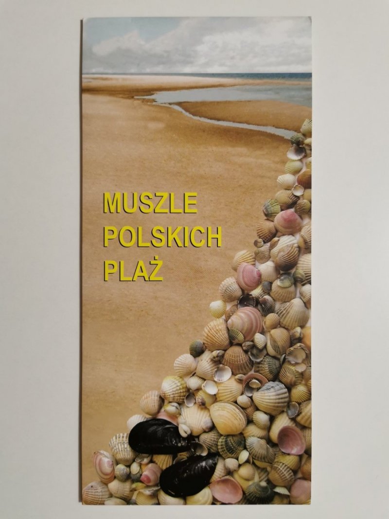 MUSZLE POLSKICH PLAŻ. ROZKŁADANA PLANSZA 2004