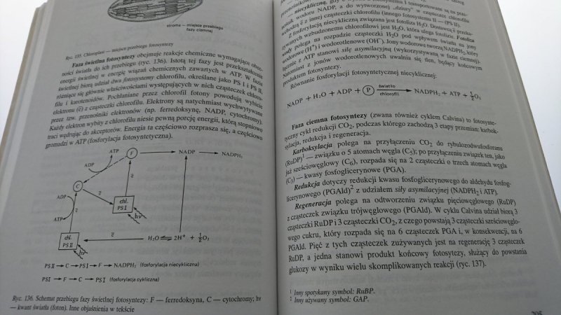 VADEMECUM MATURZYSTY. BIOLOGIA Pyłka-Gutowska 1996