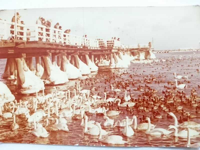 SOPOT. MOLO FOT. J. UKLEJEWSKI
