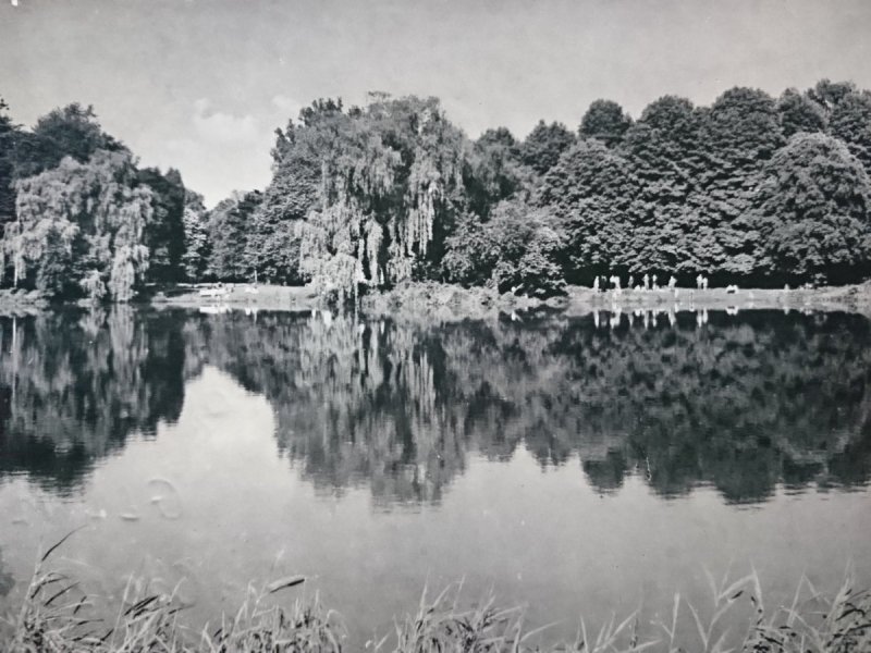 BRZEG. PARK FOT. A. ŚMIETAŃSKI