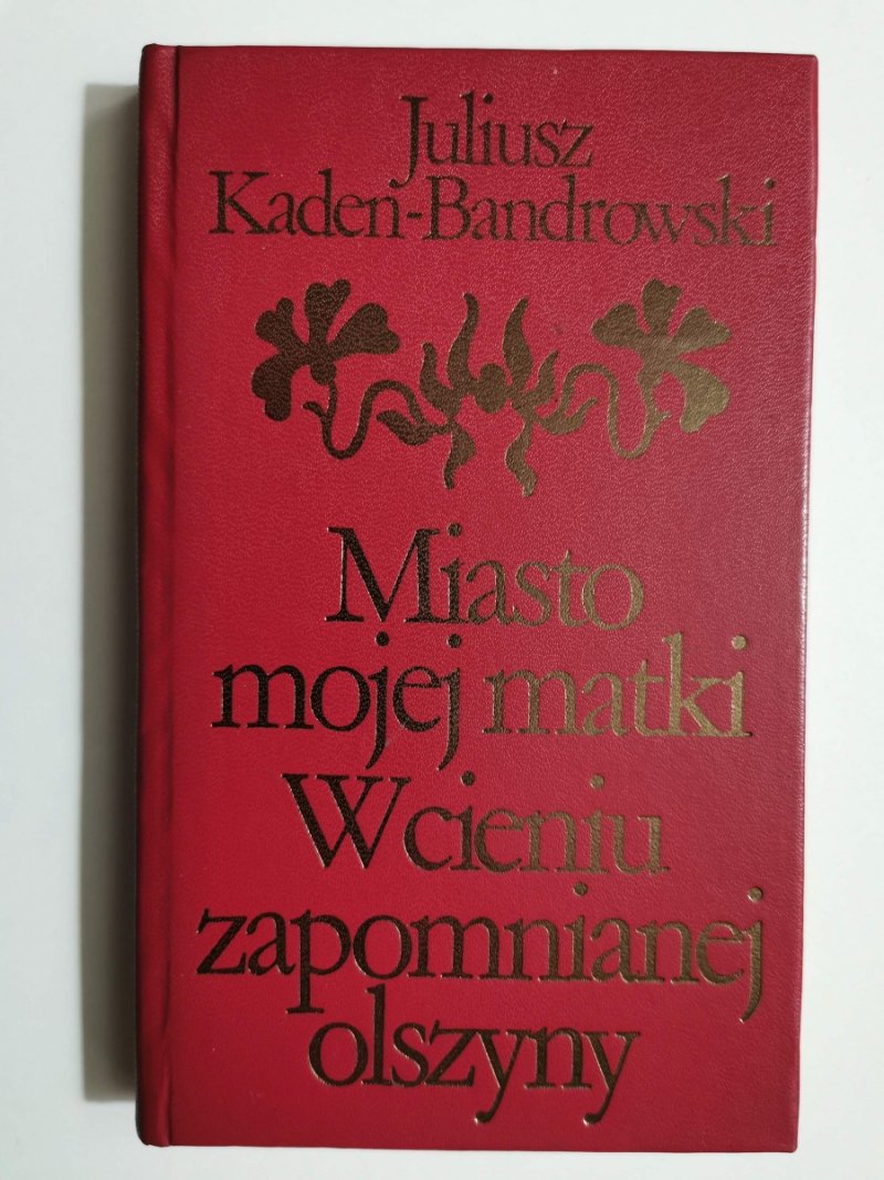 MIASTO MOJEJ MATKI W CIENIU ZAPOMNIANEJ OLSZYNY - Juliusz Kaden-Bandrowski