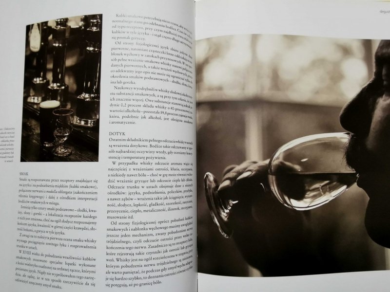 Whisky malt - MacLean 2002
