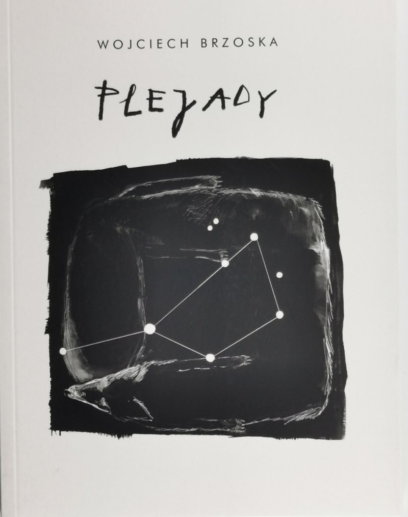 PLEJADY - Wojciech Brzoska