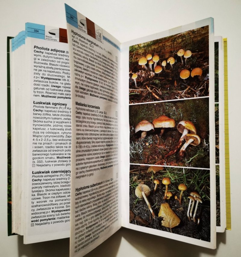 GRZYBY WIELKI ILUSTROWANY PRZEWODNIK - Ewald Gerhardt