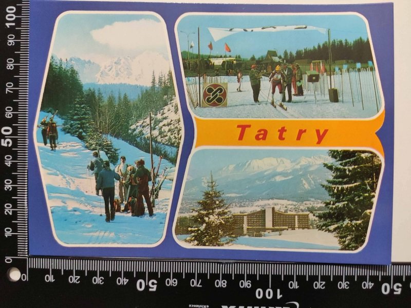 TATRY. NARCIARZE W DOLINIE GORYCZKOWEJ