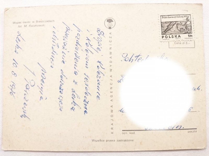 Wypas owiec w Bieszczadach fot. M. Raczkowski