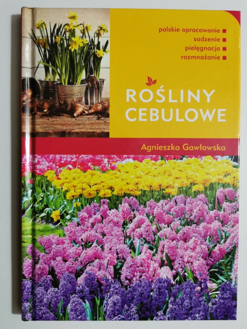 ROŚLINY CEBULOWE - Agnieszka Gawłowska