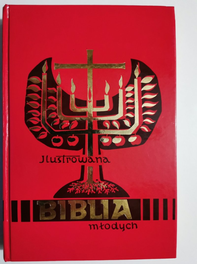 ILUSTROWANA BIBLIA MŁODYCH