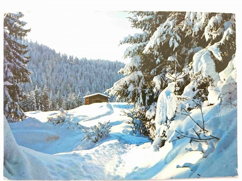 WINTERWALD IN GRAUBUNDEN