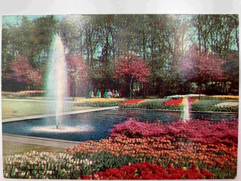 HOLLAND BLOEMENLAND LAND OF FLOWERS