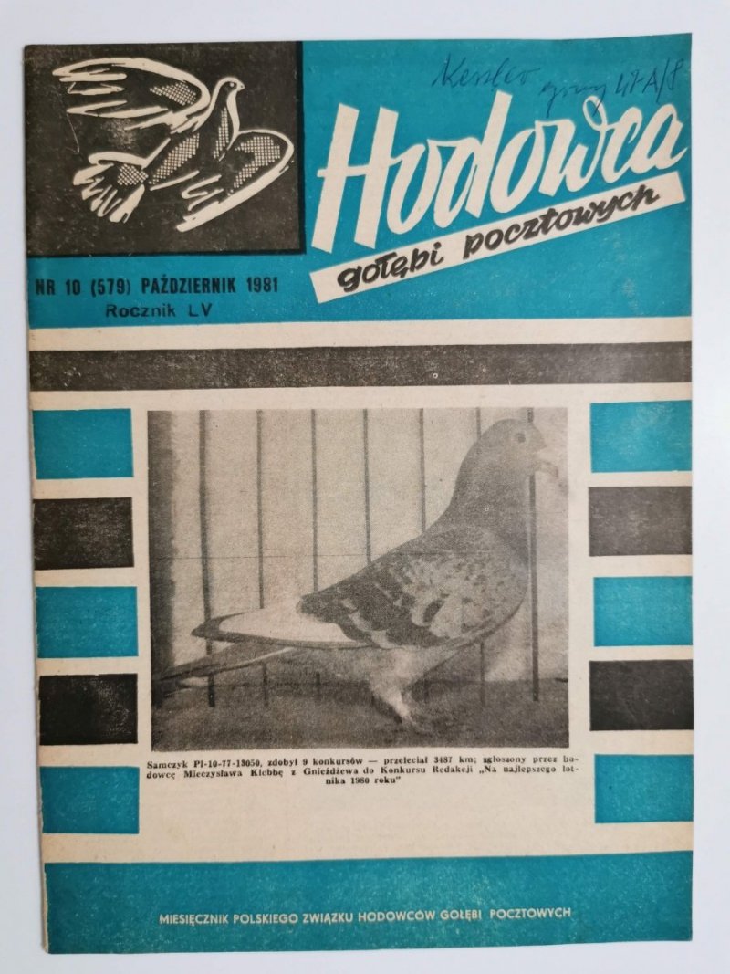 HODOWCA GOŁĘBI POCZTOWYCH NR 10  1981
