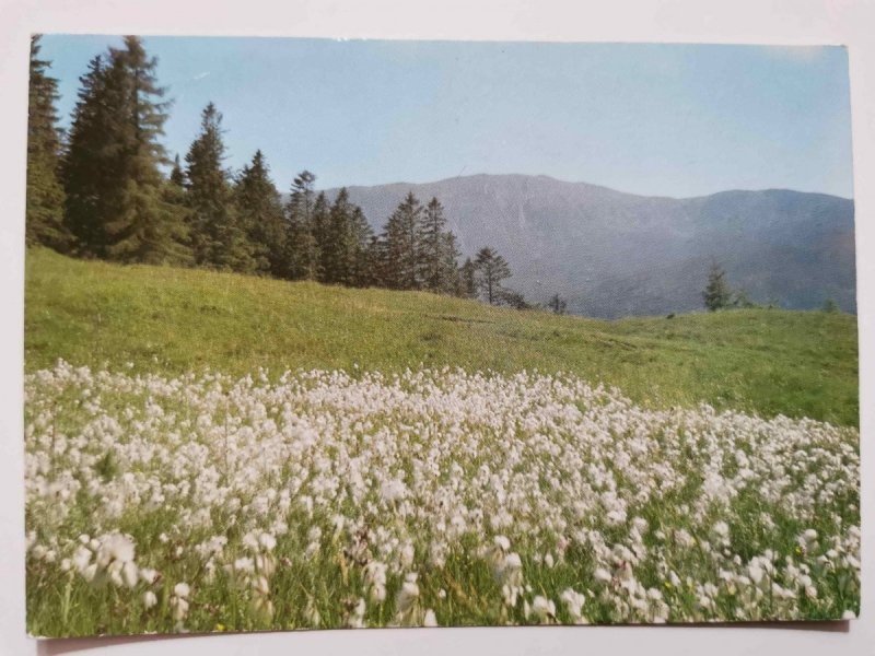 BESKID WYSOKI. PANORAMA BABIEJ GÓRY FOT. ŁAGOCKI