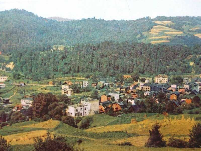 MUSZYNA. WIDOK OGÓLNY FOT. Z. KAMYKOWSKI