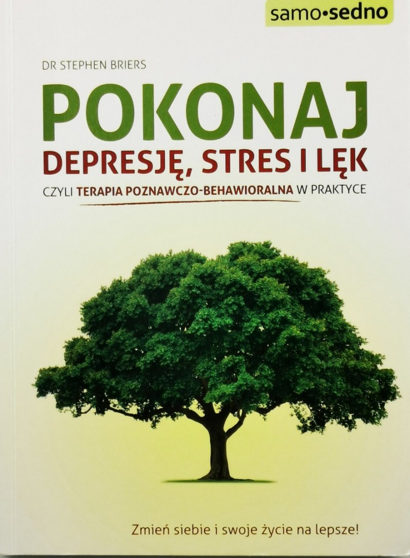 POKONAJ DEPRESJE STRES I LEK - Stephen Briers