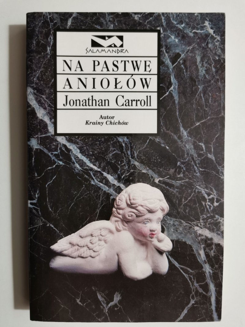 NA PASTWIE ANIOŁÓW - Jonathan Carroll