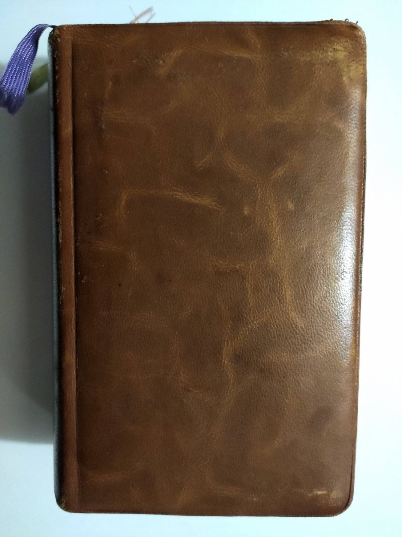 BIBLIA KATOLICKA 1953 w języku Holenderskim