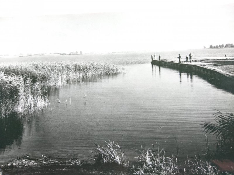 MIĘDZYWODZIE. ZALEW KAMIEŃSKI FOT. J. KORPAL