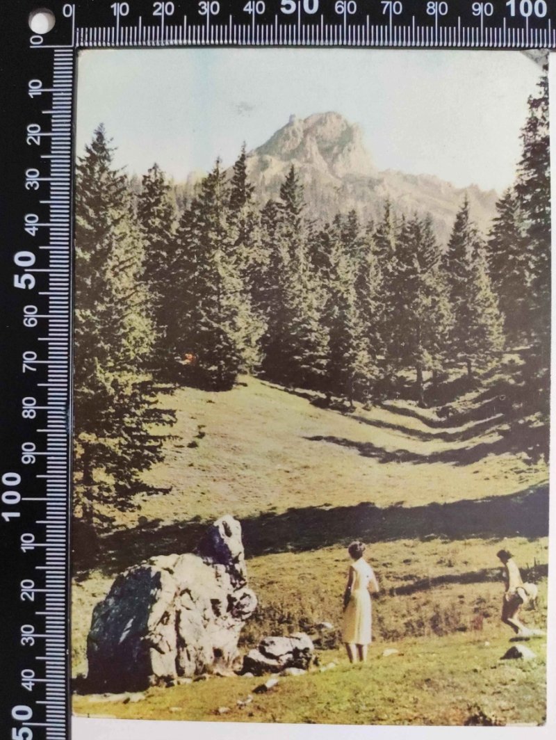 TATRY ZACHODNIE. SFINKS W DOLINIE STRĄŻYSKIEJ