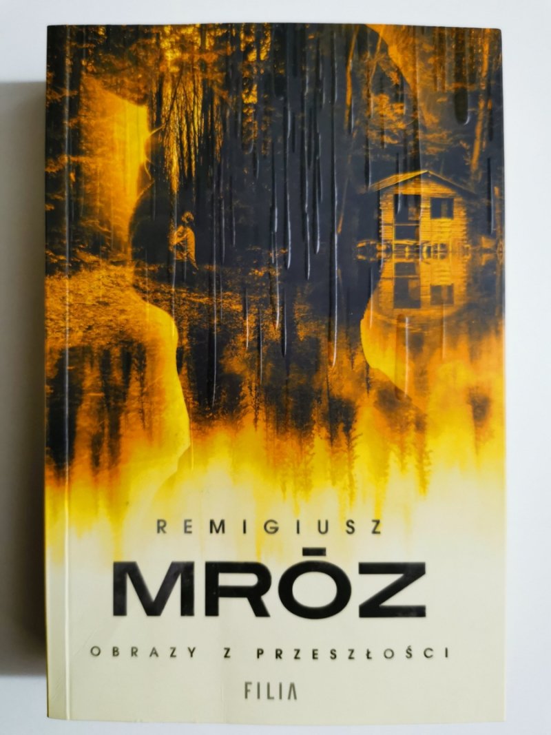 OBRAZY Z PRZESZŁOŚCI - Remigiusz Mróz