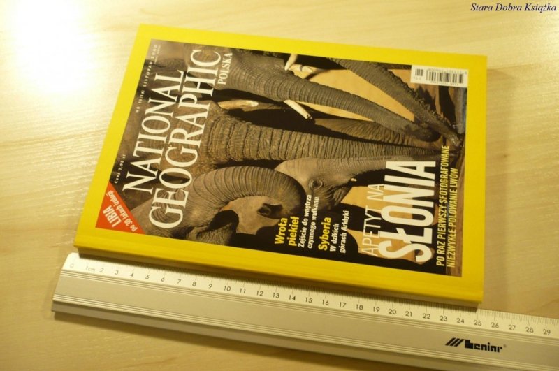 NATIONAL GEOGRAPHIC POLSKA 11 (14) LISTOPAD 2000