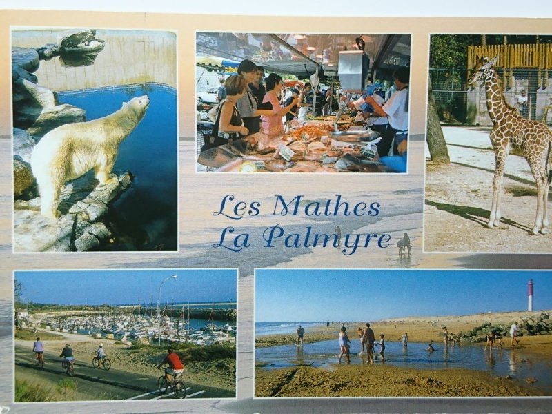 LES MATHES LA PALMYRE