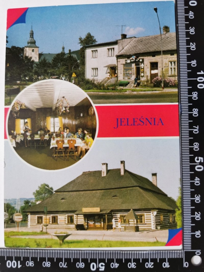 JELEŚNIA. FRAGMENT WCZASOWISKA