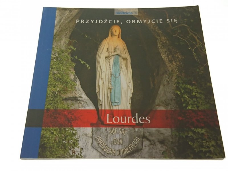 PRZYJDŹCIE, OBMYJCIE SIĘ. LOURDES (2009)