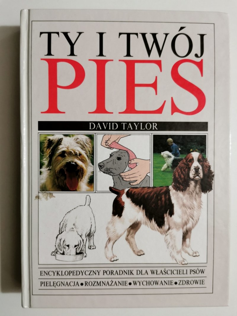 TY I TWÓJ PIES - David Taylor
