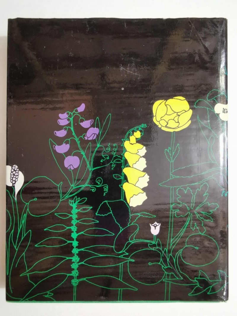 ŚWIAT ROŚLIN SKAŁ I MINERAŁÓW 1984