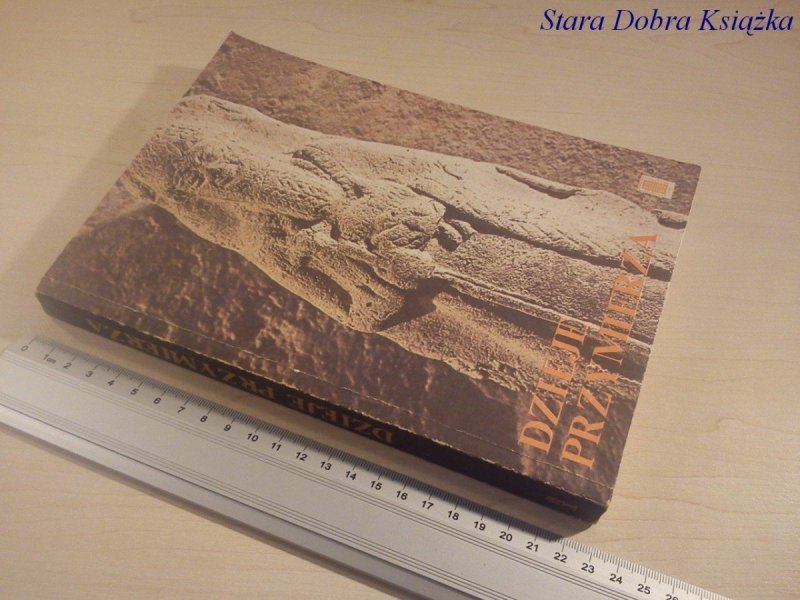 DZIEJE PRZYMIERZA. BIBLIA DLA MŁODZIEŻY