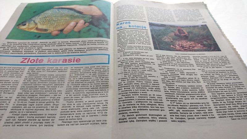 WIADOMOŚCI WĘDKARSKIE NR 6'89 (480)