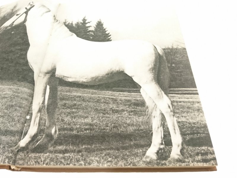 KOŃ I JEŹDZIEC - Stanisław Schuch 1967