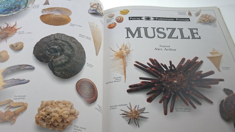 PATRZĘ PODZIWIAM POZNAJĘ MUSZLE - Alex Arthur 1991