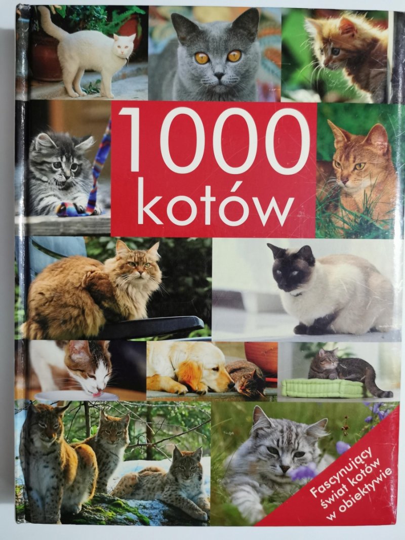 1000 KOTÓW. FASCYNUJĄCY ŚWIAT KOTOW W OBIEKTYWIE