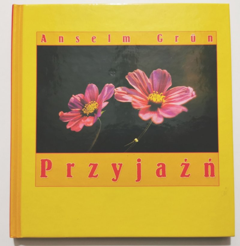 PRZYJAŹŃ - Anselm Grun