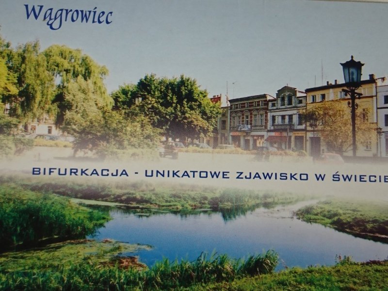 WĄGROWIEC. RYNEK; BIFURKACJA - SKRZYŻOWANIE RZEK