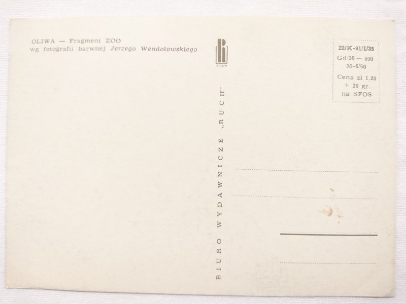 OLIWA – FRAGMENT ZOO FOT. J. WENDOŁOWSKI Wielbłądy 