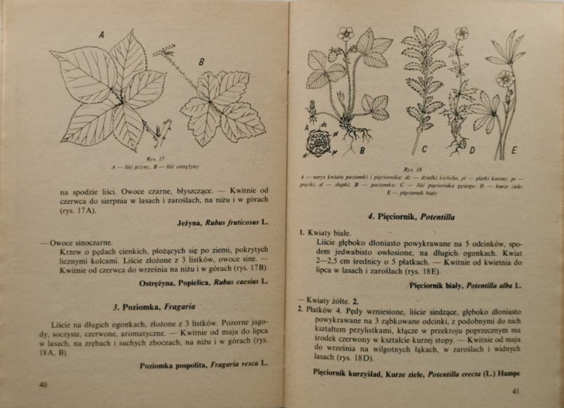 POZNAJ 100 ROŚLIN - Janina Szaferowa