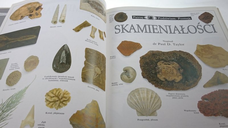 PATRZĘ PODZIWIAM POZNAJĘ. SKAMIENIAŁOŚCI - Taylor