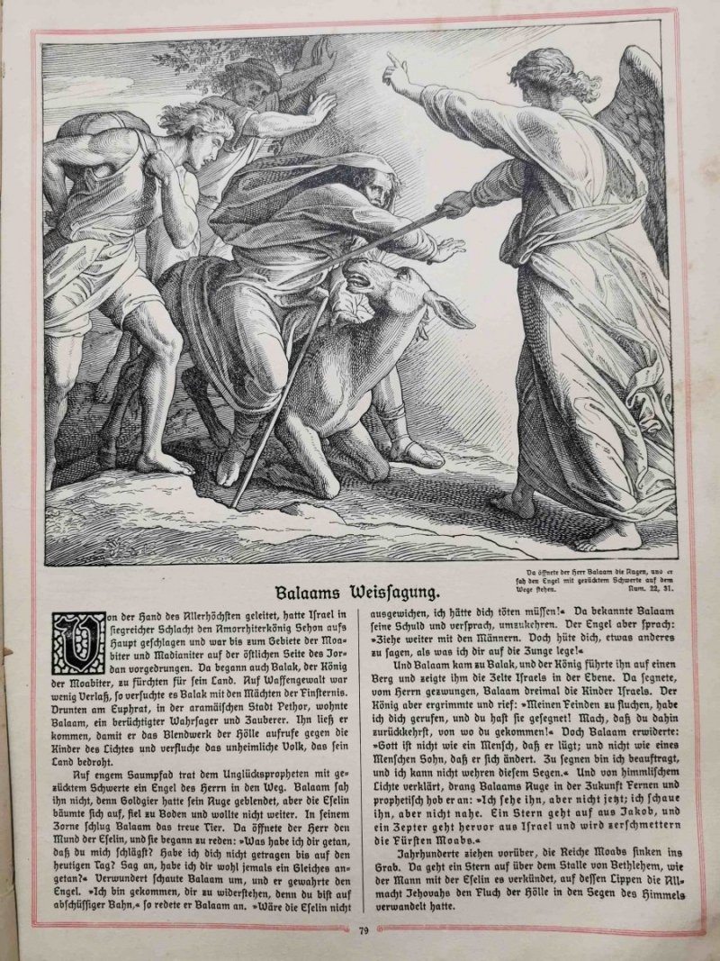 KATHOLISCHE BILDERBIBEL. ILUSTROWANA BIBLIA W JĘZYKU NIEMIECKIM 1908