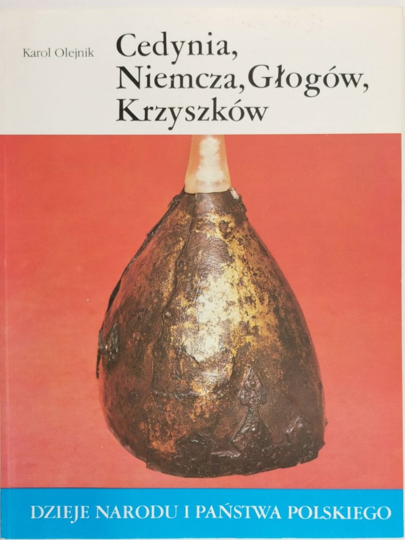 DNIPP: CEDYNIA, NIEMCZA, GŁOGÓW, KRZYSZKÓW - Karol Olejnik