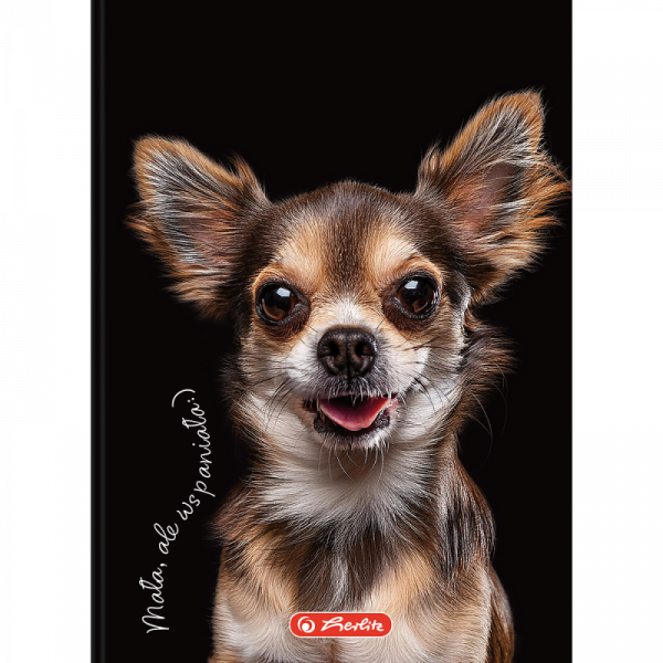 Brulion A6 80k kratka CRAZY ANIMAL 400196850 HERLITZ