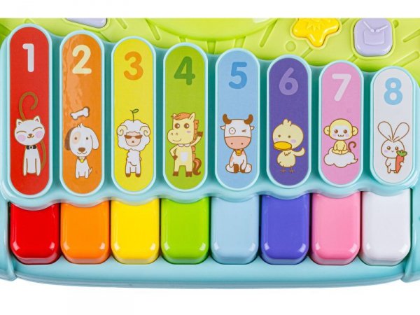 Ksylofon Cymbałki Perkusja Pianinko Dla Dzieci Zabawka Edukacyjna Muzyczna