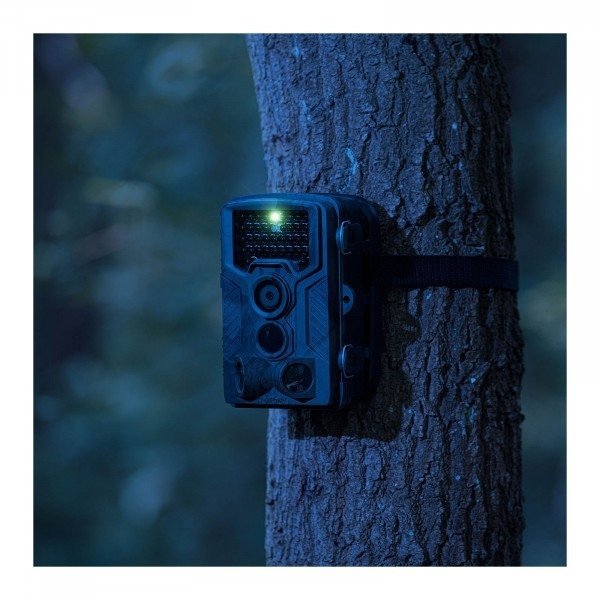 Fotopułapka - 8 MP - Full HD - 42 IR LED - 20 m - 0,3 s STAMONY 10240003 ST-HC-8000B