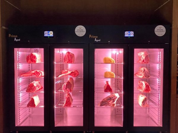 Szafa do sezonowania Klima Meat SYSTEM | ZERNIKE | KMS900PVB