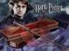 Harry Potter oryginalna różdżka - różne modele różdżki