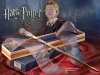 Harry Potter oryginalna różdżka - różne modele różdżki